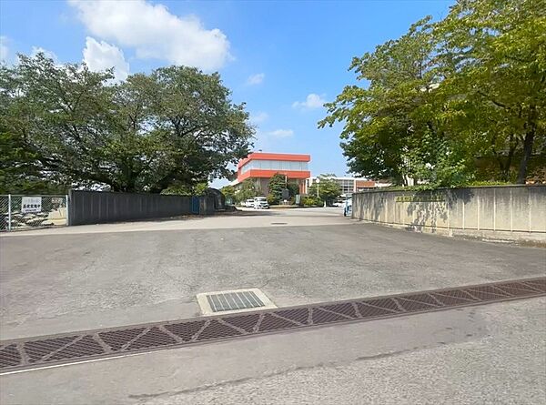 中学校 3000m 南犬飼中学校