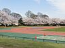 周辺：公園 140m 鶴ヶ谷町2号公園