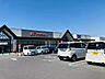 周辺：スーパー 1300m とりせん下田島店
