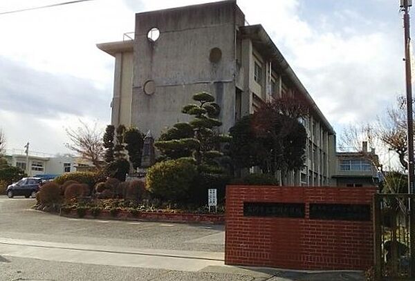 中学校 3100m 富岡中学校