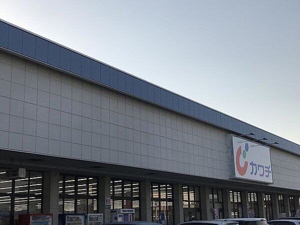 ドラッグストア 1000m カワチ千代田店