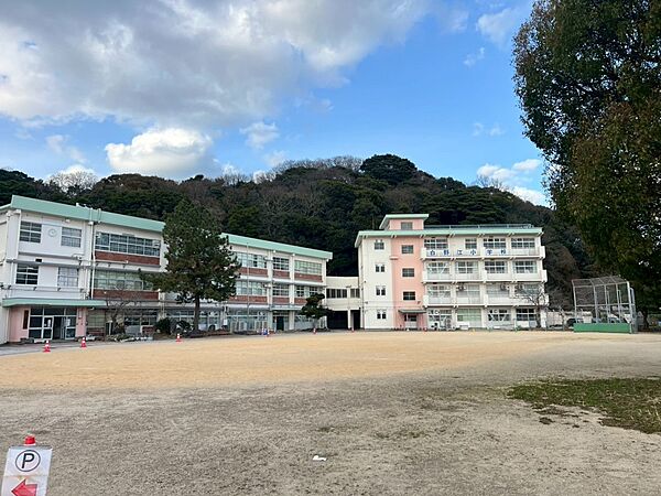 小学校 550m 白野江小学校