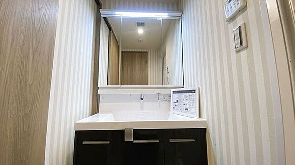 シャンプードレッサー付き洗面台が付いております◎