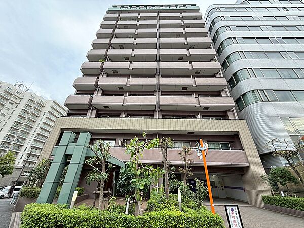 外観：313004417415