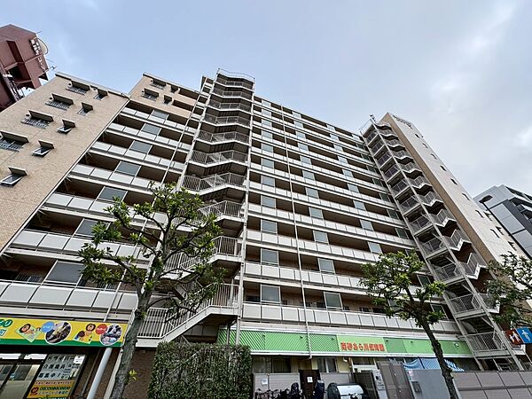 外観：313004443813