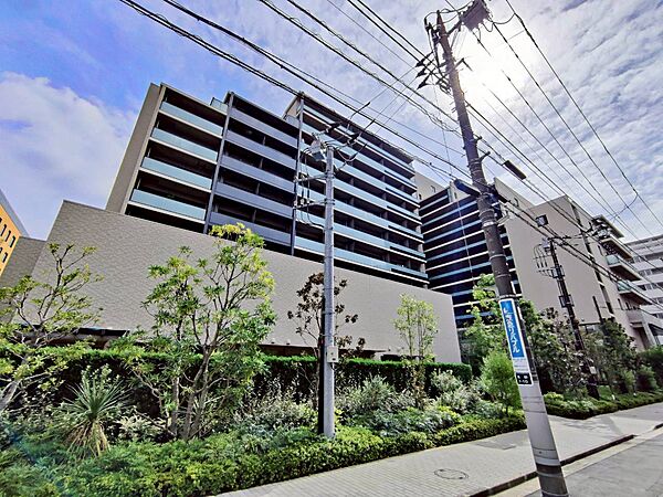 外観：313004446406