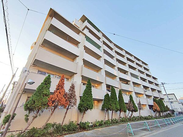 外観：313004460472