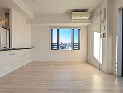 セントラルレジデンス御茶ノ水ヒルトップ 2LDKの室内