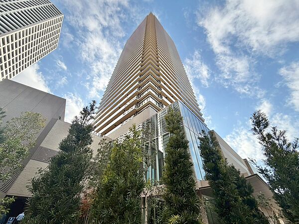 外観：313004547108