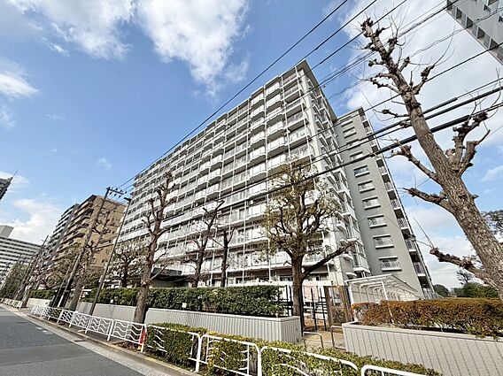 飽きのこないシ...