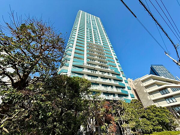 外観：313004596552