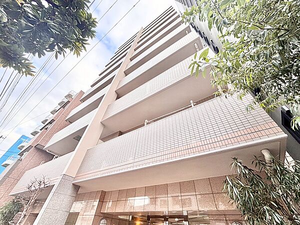 外観：313004596556