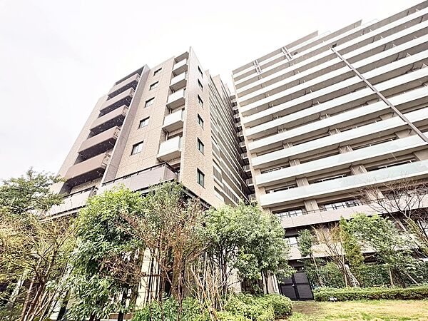 外観：313004620610