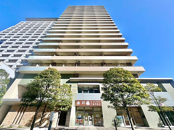 外観：313004624656