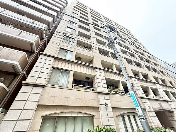 外観：313004669109