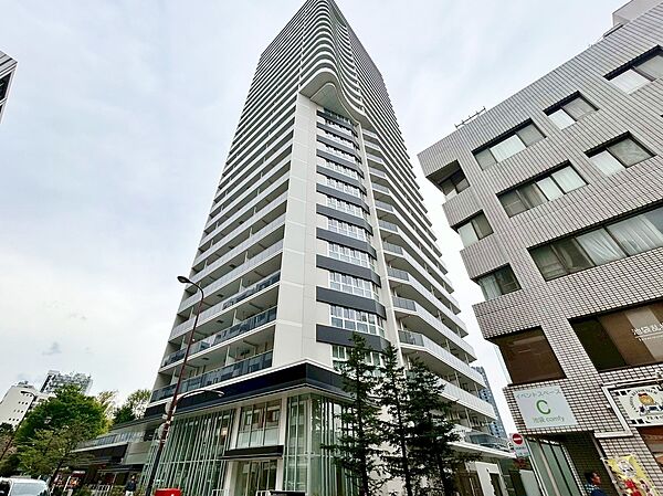 外観：313004687272