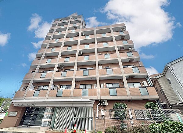 外観：313004695297