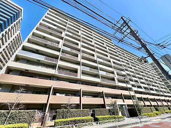 外観：313004694903