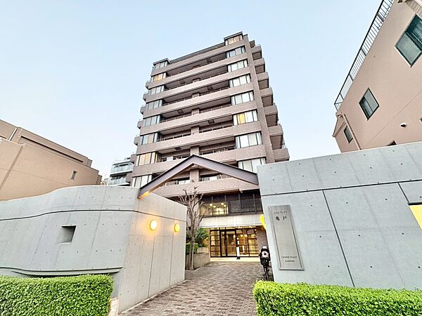 外観：313004697900