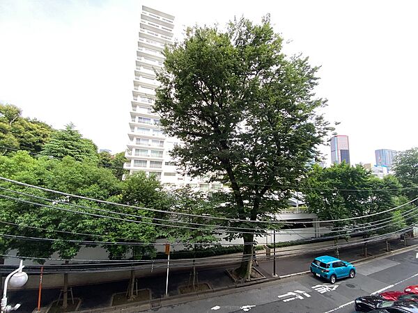 陽当たり・通風・開放感に恵まれた環境です。