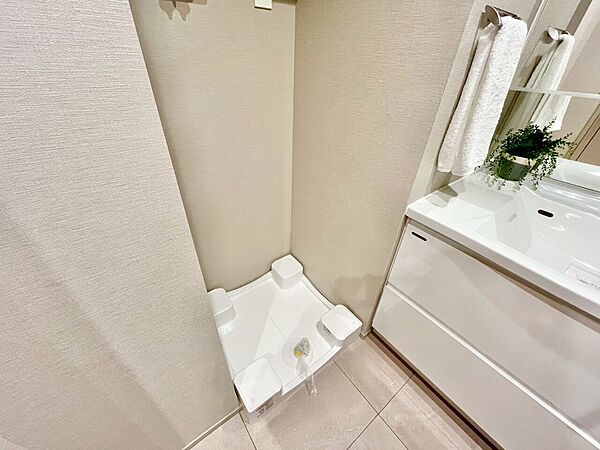 十分な広さの脱衣所。
