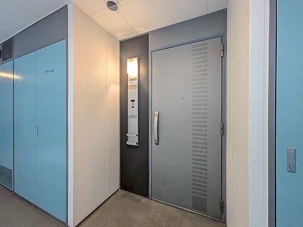 清潔感のある落ち着いた雰囲気の玄関です。