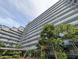 豊洲ハイライズ