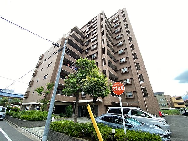 外観：313004788297