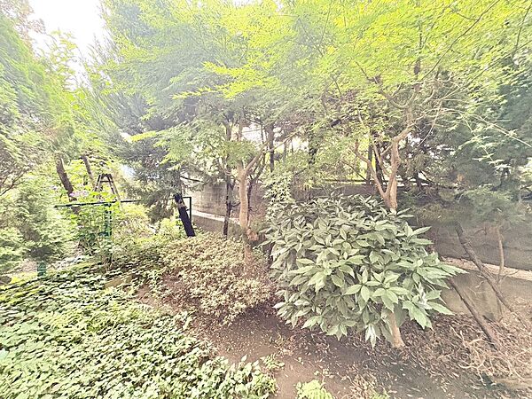 陽当たり・通風・開放感に恵まれた環境です。