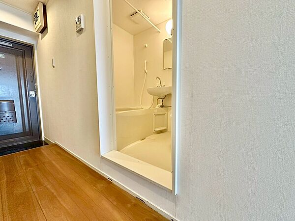 十分な広さの脱衣所。