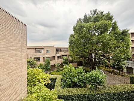 眺望や窓からの景色が良いと、家で過ごす時間も快適です。