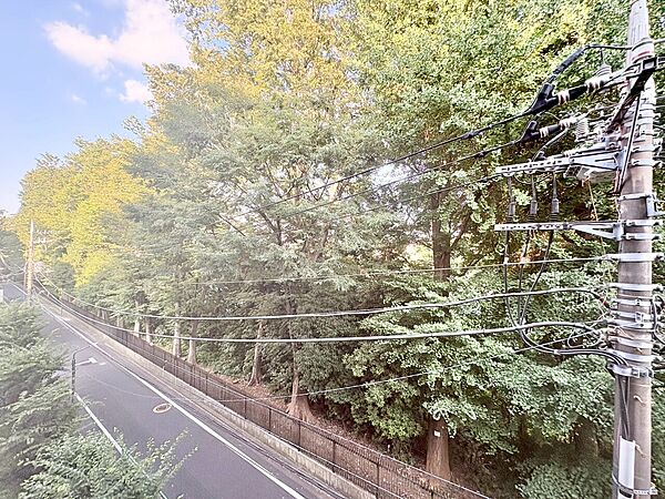 眺望や窓からの景色が良いと、家で過ごす時間も快適です。