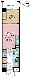 デュオ・スカーラ上野 1LDKの間取図画像