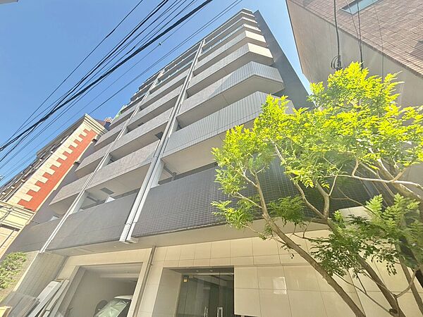 外観：313004811947