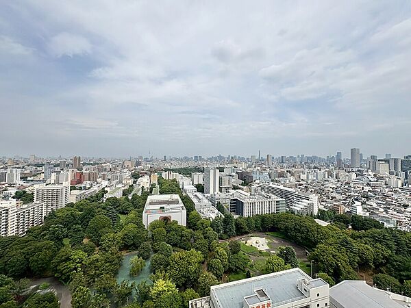 陽当たり・通風・開放感に恵まれた環境です。