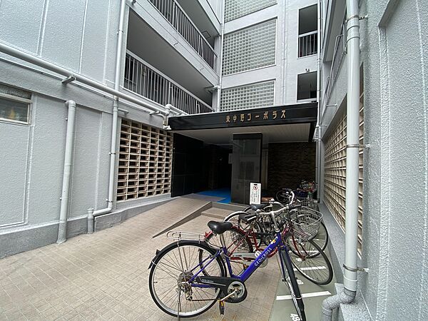 駐輪場も綺麗に整頓されています。※空き状況は都度ご確認下さい。