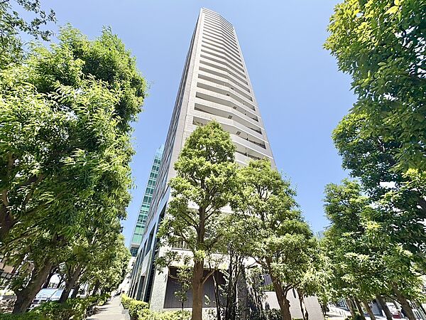 外観：313004824237