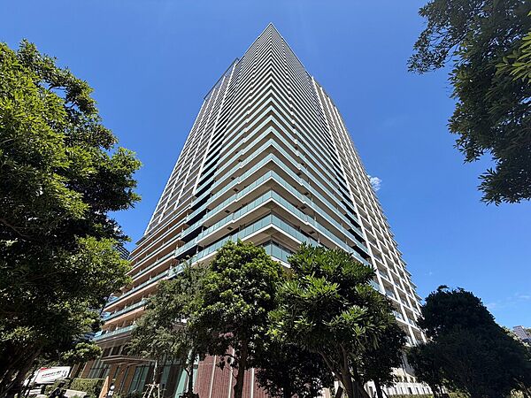 外観：313004835109