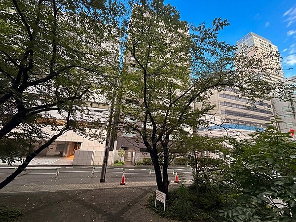 陽当たり・通風・開放感に恵まれた環境です。※CG加工により晴天にしています。