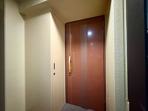 清潔感のある落ち着いた雰囲気の玄関です。