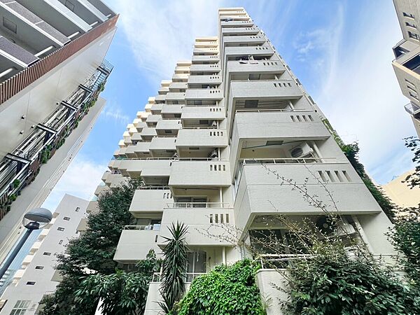 忙しく過ぎゆく日常を置き去るほど、ゆったりした時間が流れる住環境。
