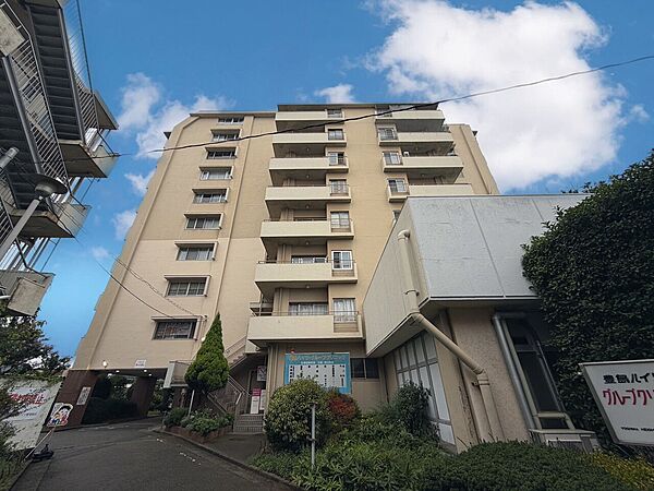 外観：313004876604