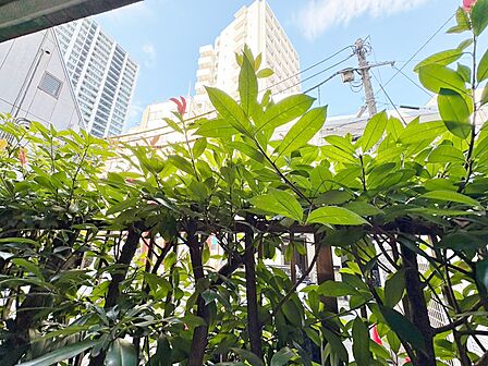 陽当たり・通風・開放感に恵まれた環境です。