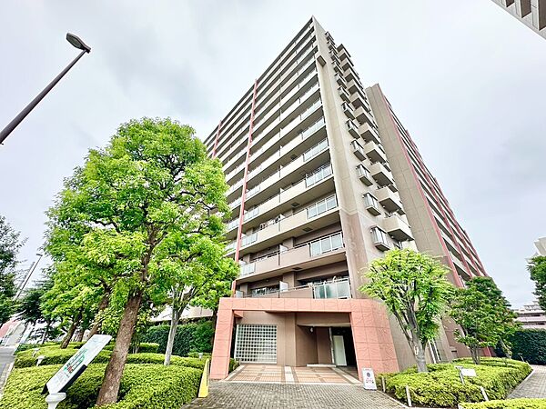 外観：313004916905