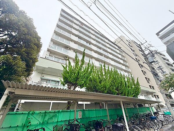 外観：313004917963