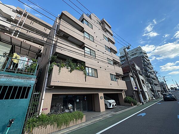 外観：313004929505