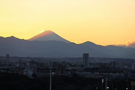 清かで艶やかな時間をもたらしてくれる室内です。