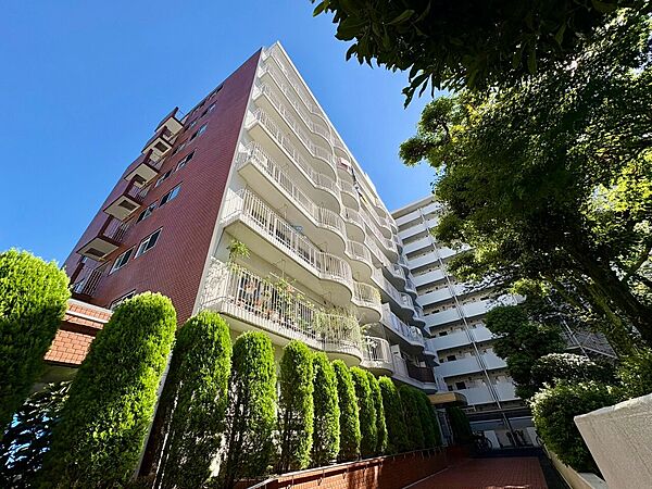 外観：313004932258