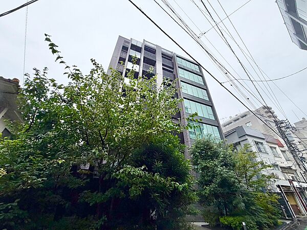 外観：313004931131