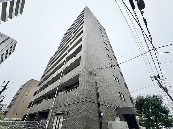 外観：313004934205